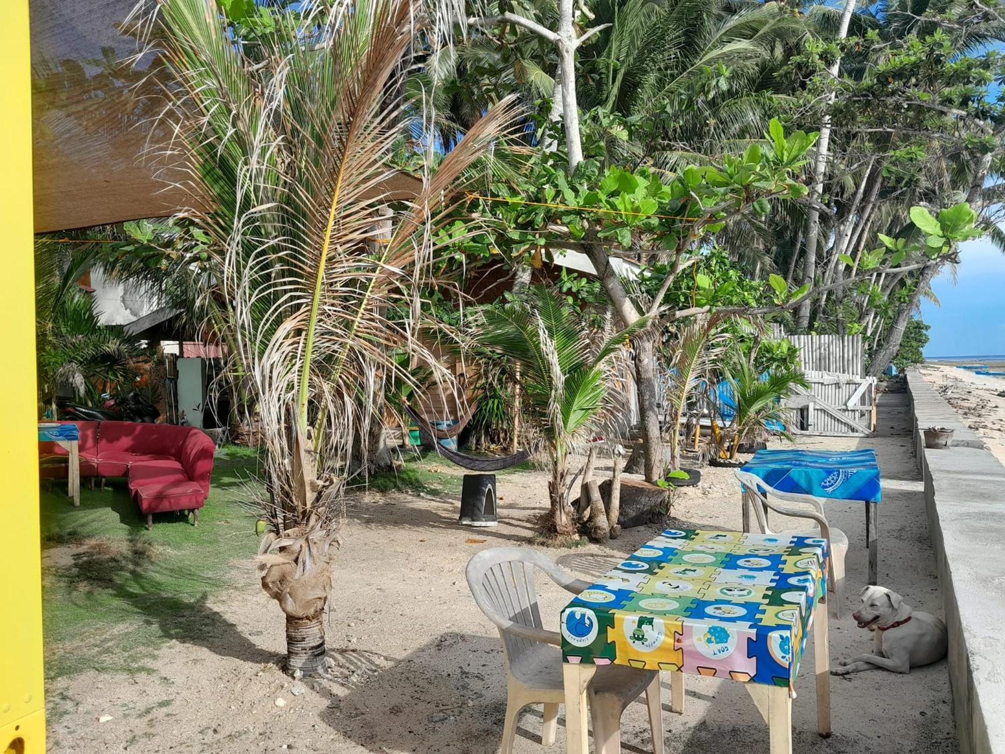 Enrico's Guesthouse Siquijor Eksteriør billede
